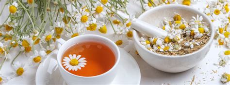 Chamomile Tea: Unlocking the Magical Benefits for Sleep and Dreams